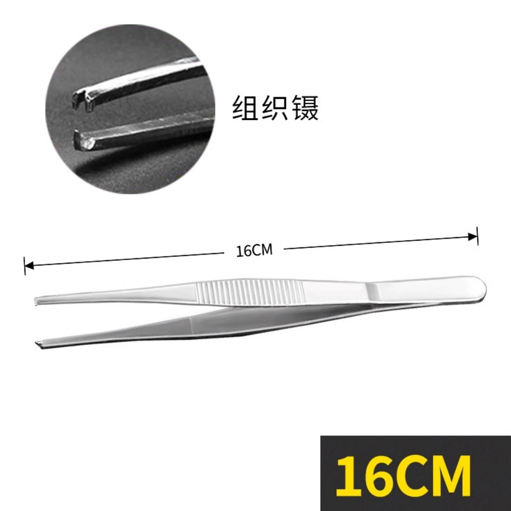 304 Stainless Steel Lab Tweezers
